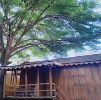 Asana Old Wooden House