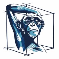 Blue Monkey